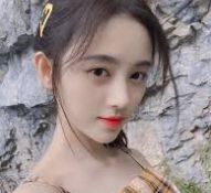 企业介绍应用